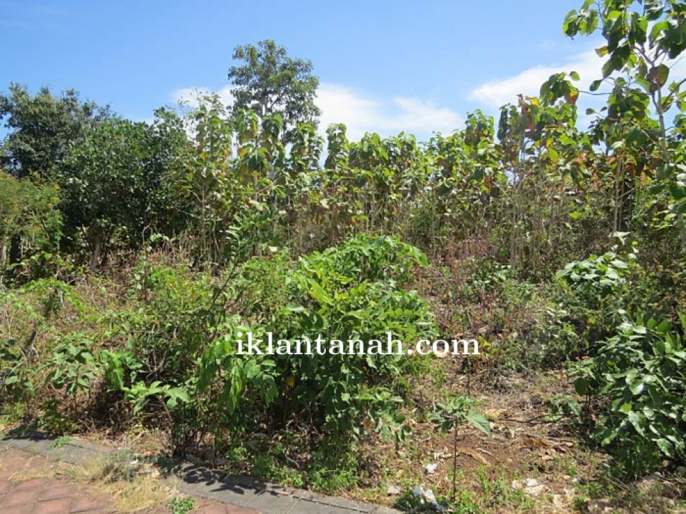 Jual Rumah Bali View Tangerang Selatan